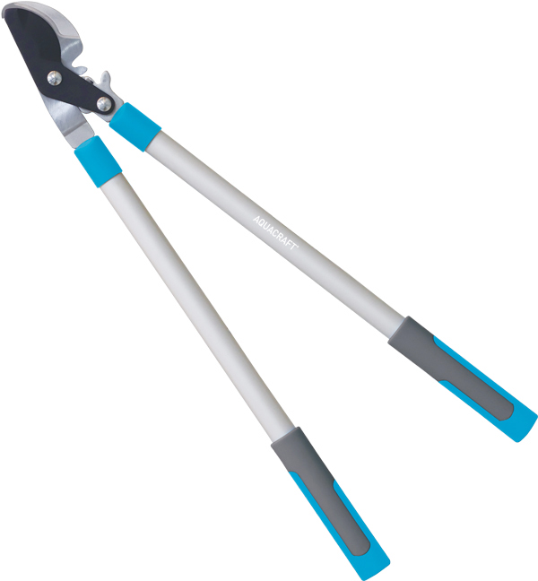 Geared anvil pruner for powerful dry wood cutting