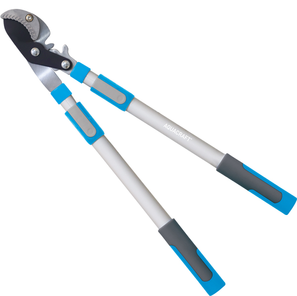 Telescopic anvil pruner with geared power boost